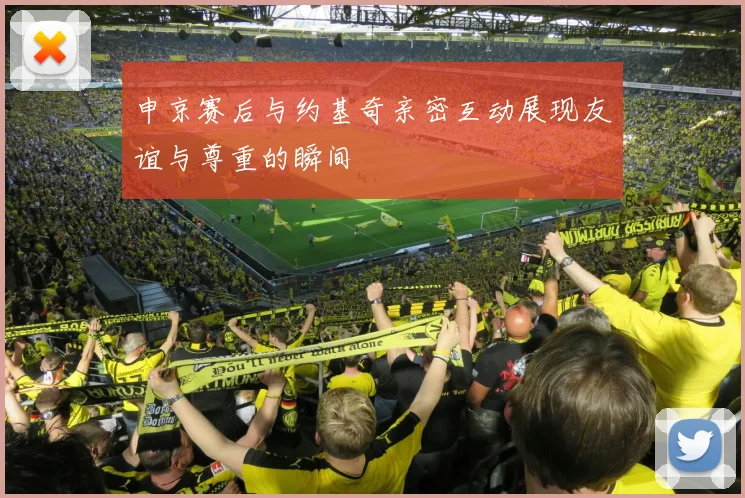 申京赛后与约基奇亲密互动展现友谊与尊重的瞬间